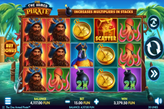 The One Armed Pirate