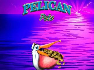 Pelican Pete